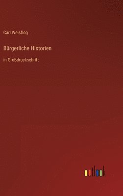 bokomslag Bürgerliche Historien