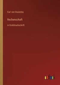 bokomslag Rechenschaft