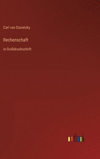 bokomslag Rechenschaft