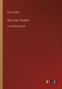 bokomslag Wozu das Theater?