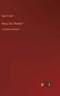bokomslag Wozu das Theater?