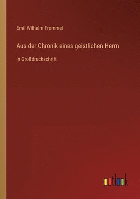 bokomslag Aus der Chronik eines geistlichen Herrn