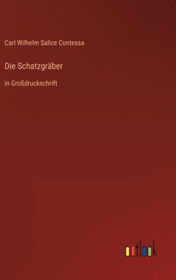 bokomslag Schatzgräber