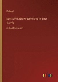 bokomslag Deutsche Literaturgeschichte in einer Stunde