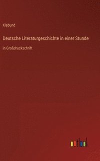 bokomslag Deutsche Literaturgeschichte in einer Stunde