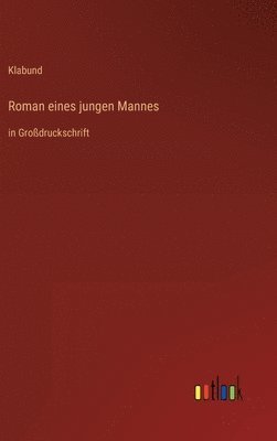 Roman eines jungen Mannes