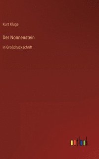 bokomslag Der Nonnenstein