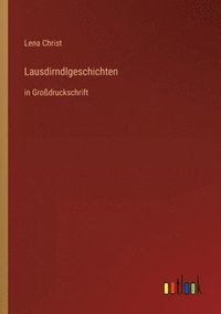 bokomslag Lausdirndlgeschichten