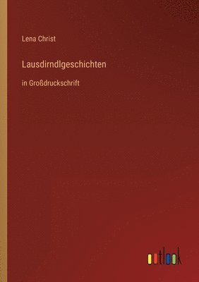 bokomslag Lausdirndlgeschichten