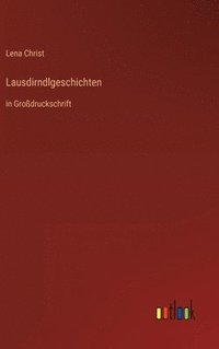 bokomslag Lausdirndlgeschichten