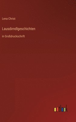 bokomslag Lausdirndlgeschichten