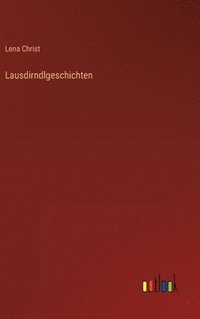 bokomslag Lausdirndlgeschichten