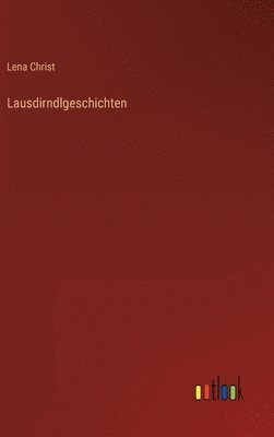 bokomslag Lausdirndlgeschichten