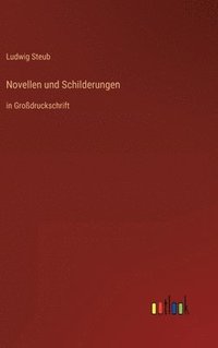 bokomslag Novellen und Schilderungen