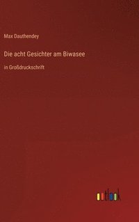 bokomslag Die acht Gesichter am Biwasee