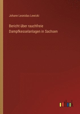 bokomslag Bericht über rauchfreie Dampfkesselanlagen in Sachsen