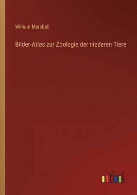 bokomslag Bilder-Atlas zur Zoologie der niederen Tiere