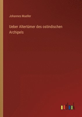 bokomslag Ueber Altertümer des ostindischen Archipels