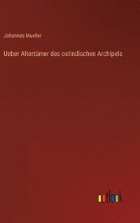 bokomslag Ueber Altertmer des ostindischen Archipels