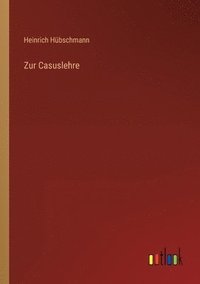 bokomslag Zur Casuslehre