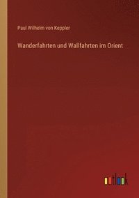 bokomslag Wanderfahrten und Wallfahrten im Orient