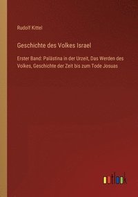 bokomslag Geschichte des Volkes Israel