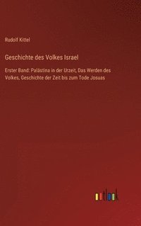bokomslag Geschichte des Volkes Israel