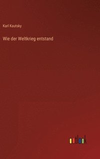 bokomslag Wie der Weltkrieg entstand