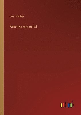 bokomslag Amerika wie es ist