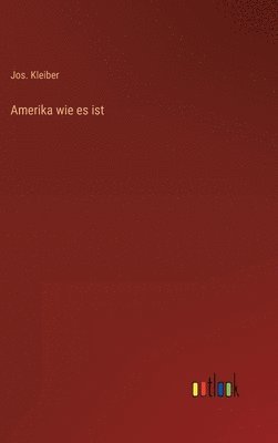 bokomslag Amerika wie es ist