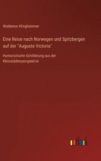 bokomslag Eine Reise nach Norwegen und Spitzbergen auf der "Auguste Victoria"