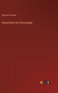 bokomslag Deutschland am Mississippi