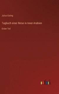 bokomslag Tagbuch einer Reise in Inner-Arabien