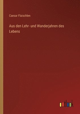 bokomslag Aus den Lehr- und Wanderjahren des Lebens