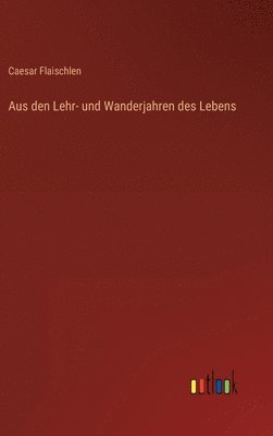 bokomslag Aus den Lehr- und Wanderjahren des Lebens