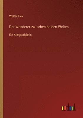Walter Flex - Wanderer zwischen beiden Welten, Häftad