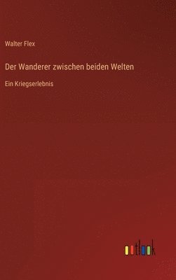 Walter Flex - Wanderer zwischen beiden Welten, Inbunden