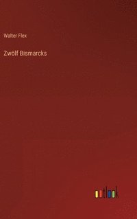 bokomslag Zwölf Bismarcks