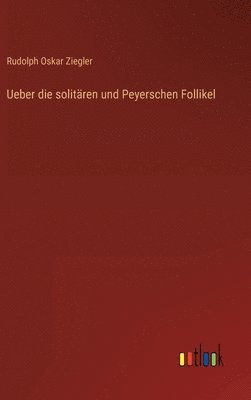 bokomslag Ueber die solitren und Peyerschen Follikel