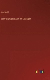 bokomslag Herr Hampelmann im Eilwagen