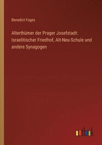 bokomslag Alterthmer der Prager Josefstadt