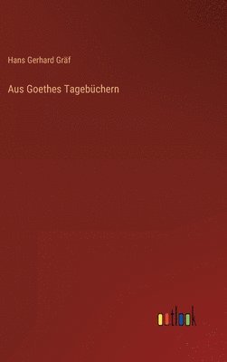 bokomslag Aus Goethes Tagebchern