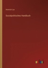 bokomslag Sozialpolitisches Handbuch