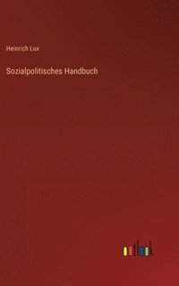 bokomslag Sozialpolitisches Handbuch