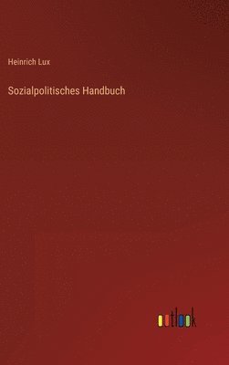 bokomslag Sozialpolitisches Handbuch