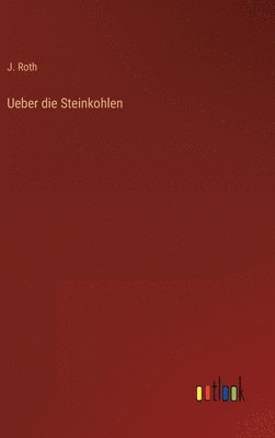 bokomslag Ueber die Steinkohlen