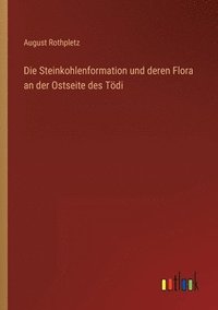 bokomslag Die Steinkohlenformation und deren Flora an der Ostseite des Tdi