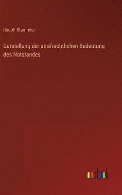 Darstellung der strafrechtlichen Bedeutung des Notstandes 1