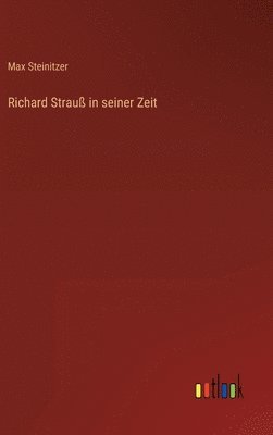 bokomslag Richard Strauß in seiner Zeit
