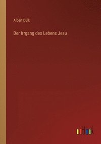 bokomslag Irrgang des Lebens Jesu